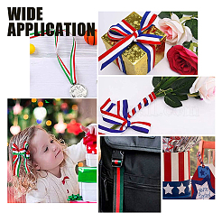 Полиэстер Grosgrain ленты&nbsp;SRIB-WH0009-02A