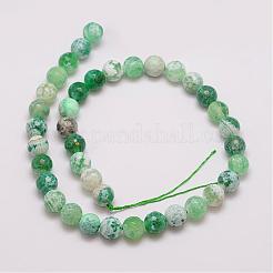 Бусы из натурального огненного агата с потрескиванием G-G882-10mm-B01