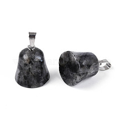 Природные подвески лабрадорита&nbsp;G-N349-15P-02