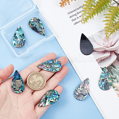 Естественно Ракушка Пауа кабошоны&nbsp;SHEL-BC0001-029B