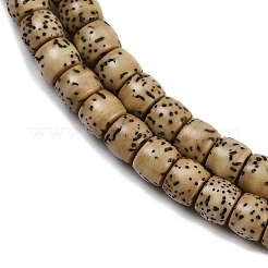 Натуральные бусины из семян рудракши бодхи&nbsp;WOOD-B010-A03-5x6mm