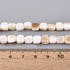 Natürlichen Süßwasser-Muschelperlen Stränge&nbsp;BSHE-T014-51A