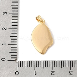 Натуральный белый оболочки подвески&nbsp;KK-Z149-18G