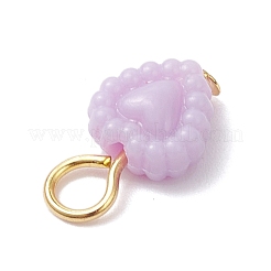 Pendentifs acryliques opaques&nbsp;PALLOY-JF04351-02