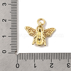Messing Anhänger & Charms&nbsp;KK-I364-05G-01