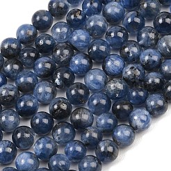 Натуральные нити из кианита / цианита / дистенового бисера&nbsp;G-G272-A01-8mm