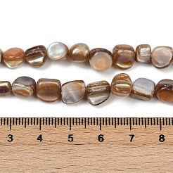 Нити бусин из натуральной ракушки трохус BSHE-Q050-01A