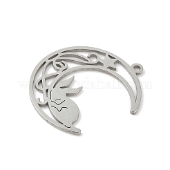 Подвески из нержавеющей стали 304 STAS-Q354-01P