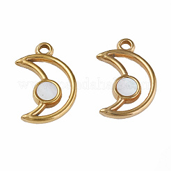 Подвески из нержавеющей стали 304&nbsp;STAS-N087-50-05G