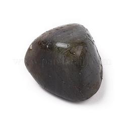 5 pz perline di labradorite naturale&nbsp;G-FS0002-04