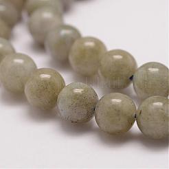 Labradorite naturale fili di perline&nbsp;G-P259-02-6mm