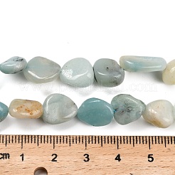 Натуральный цветок амазонитовые бусины пряди G-P568-C18-01