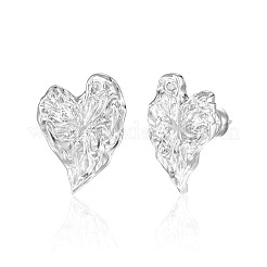 Clous d'oreilles en laiton&nbsp;WGFB150-02
