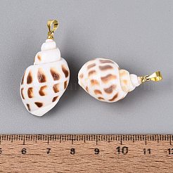 真鍮と天然の螺旋状の貝殻のペンダント  巻貝チャーム  ライトゴールド  シエナ  25~36x16~23x13~20mm  穴：4~5x3.5mm&nbsp;SHEL-Q029-16KCG
