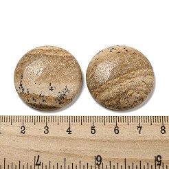 Natur Bildjaspisses cabochons&nbsp;G-C115-02B-22