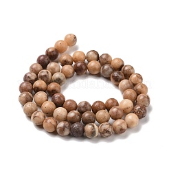 Натуральные оранжевые кальцитовые шарики G-E185-04B