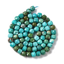 Природные Говлит бисер нитей G-G001-B02-07