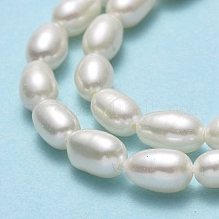 天然養殖淡水パールビーズ連売り  ライス  リネン  5.5~6x4~4.5mm  穴：0.6mm  約56~66個/連  14.96''（38センチメートル）&nbsp;PEAR-J006-10B-01
