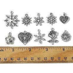 60шт 10 стиля подвески из сплава в тибетском стиле FIND-FS0002-30