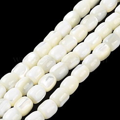 Fili di perline di conchiglia trochus naturale&nbsp;BSHE-E030-05A