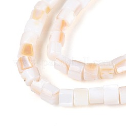 Нити бусин из натуральных пресноводных ракушек SHEL-N027-09A