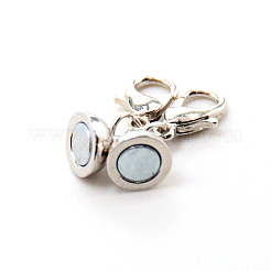 Сплав магнитные застежки&nbsp;FIND-CJC0012-003P