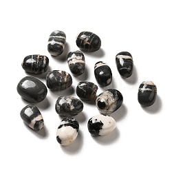Perle di diaspro zebra naturale, pietra burrattata, gemme di riempimento del vaso, Senza Buco / undrilled, pepite, 17~30x15~27x8~22mm