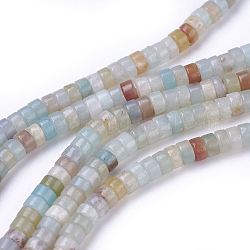 Brins de perles d'amazonite de fleurs naturelles, colonne, 4~4.2x2.2~2.5mm, Trou: 0.8mm, Environ 163~169 pcs/chapelet, 15.7 pouce (40 cm)