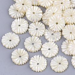 Cuentas de concha natural de blanco, flor, color de concha, 10x2mm, agujero: 1 mm