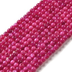 Eau douce naturelle de coquillage perles brins, ronde, teinte, camélia, 3mm, Trou: 0.5mm, Environ 124~132 pcs/chapelet, 14.96'' (38 cm)