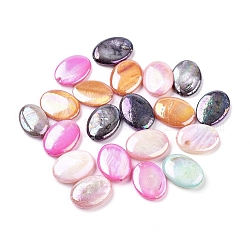 Perles de coquillages naturels d'eau douce, couleur ab , teinte, ovale, couleur mixte, 18x13x4mm, Trou: 1mm