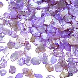Rodajas de conchas naturales de agua dulce, para los accesorios de la decoración del arte del clavo, teñido, púrpura medio, 1~12x1~6x0.5~1.5mm
