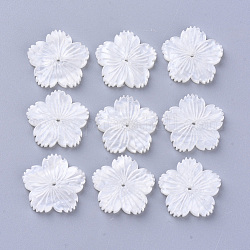 Celulosa perlas de acetato (resina), flor, blanco cremoso, 19x20x3mm, agujero: 1 mm