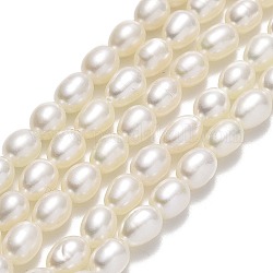Natural Cultured Freshwater Pearl Beads Strands, Rice, Linen, 6~6.5x4.5~5mm, Hole: 0.7mm, about 61~62pcs/strand, 15.55''(39.5cm)