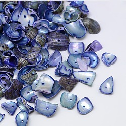Gefärbte natürliche Spiralschalen-Chipperlen, Shell-Scherben, königsblau, 10~20x6~15 mm, Bohrung: 1 mm, ca. 700 Stk. / 500 g