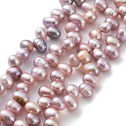 Brins de perles de culture d'eau douce naturelles, riz, chardon, 6.5~8x5~5.5mm, Trou: 0.5mm, Environ 72 pcs/chapelet, 13.82'' (35.1 cm)