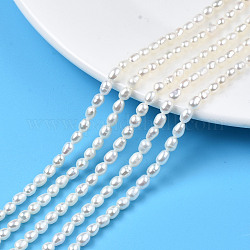 Natural Cultured Freshwater Pearl Beads Strands, Rice, Seashell Color, 4.5~5x3~4mm, Hole: 0.7mm, about 68~69pcs/strand, 14.17 inch(36cm)