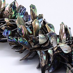 Paua naturale perline shell fili, rombo, colorato, 11~18x23~40x1~3mm, Foro: 1 mm, circa 20pcs/filo, 15.7 pollice