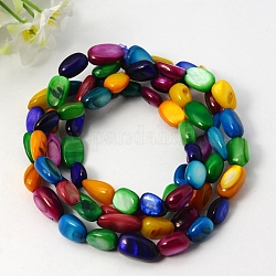 Étirer bracelets de coquillages d'eau douce Erose, avec élastique, colorées, 700mm