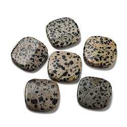 Perles de jaspe dalmatien naturelle, carré plat, 14~15x14~15x5~5.5mm, Trou: 1.2mm