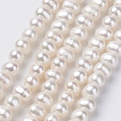Fili di perle di perle d'acqua dolce coltivate naturali, patata, vecchio pizzo, 8~9x7~10mm, Foro: 0.5 mm, circa 52pcs/filo, 15.7 pollice