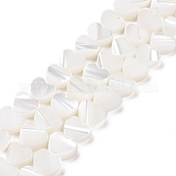 Fili di perline di conchiglia trochus naturale, cuore, bianco, 6.5x6.5x2.5mm, Foro: 0.8 mm, circa 66pcs/filo, 15.20'' (38.6 cm)