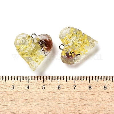 Подвески из прозрачной смолы с сухоцветами RESI-A043-03B-1