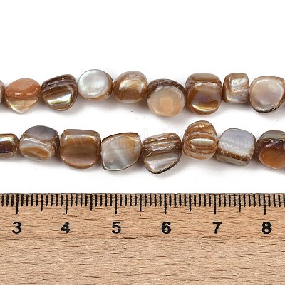 Нити бусин из натуральной ракушки трохус&nbsp;BSHE-Q050-01A-1