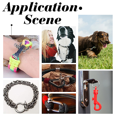 6 шт. 3 застежки-скобы с D-образным кольцом из нержавеющей стали 304&nbsp;STAS-UN0025-12-1