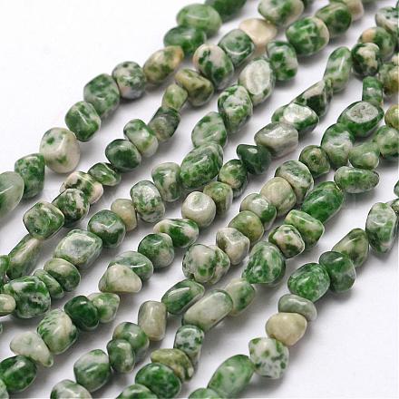 Natürliche grüne Fleck Jaspis Perlen Stränge G-F465-37-1