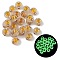 Luminous Transparent Acrylic Beads, Flat Round with Letter, Glow in the Dark, Golden Metal Enlaced, Letter Q, 7x4mm, Hole: 1.8mm, about 3700pcs/500g