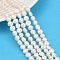 Natural Cultured Freshwater Pearl Beads Strands, Two Sides Polished, Grade 6A+, Linen, 7~8mm, Hole: 0.7mm, about 47~49pcs/strand, 13.19''~13.58''(33.5~34.5cm)