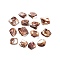 Natural Freshwater Shell Beads, Dyed, Coconut Brown, Size: about 10~20mm long, 12~18mm wide, 5~9mm thick, hole: 1mm, about 320pcs/500g