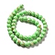 Fili di perle sintetiche turchesi e conchiglie montate G-D482-01E-02-3